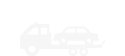 Icon Fahrzeugtyp